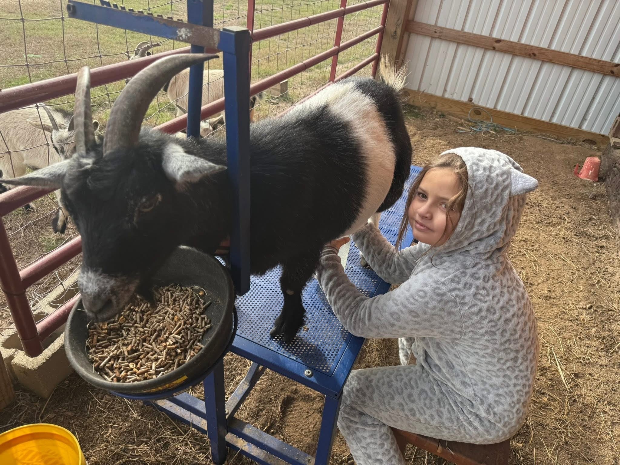 How Gritty Goat Soapery Began